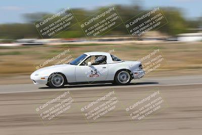 media/Oct-04-2025-OnGrid (Sat) [[44bd565ffa]]/Purple Group/Grapevine/